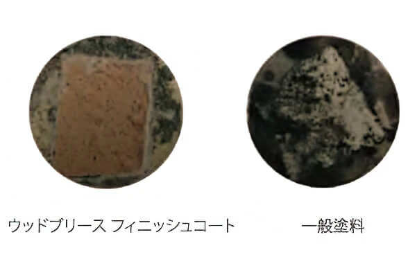 防藻性能の365日後試験