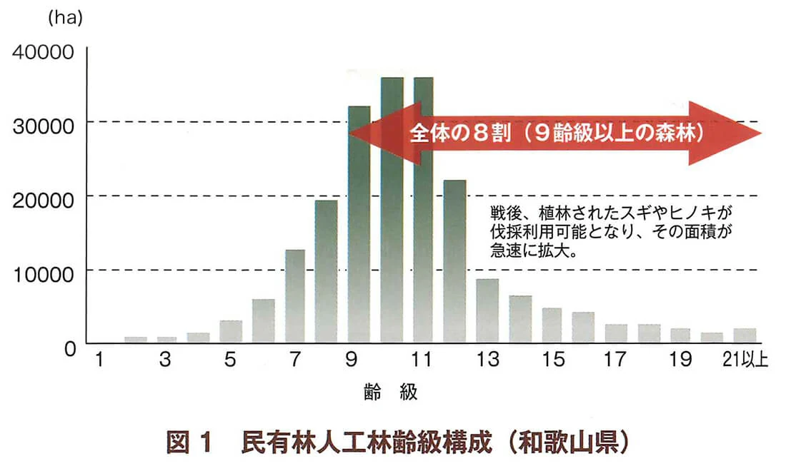 民有林人工林齢級構成（和歌山）