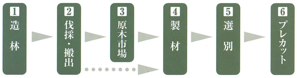 造林、伐採・搬出、原木市場、製材、選別、プレカットの流れ