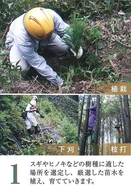 植栽、下刈、枝打
