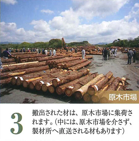 原木市場