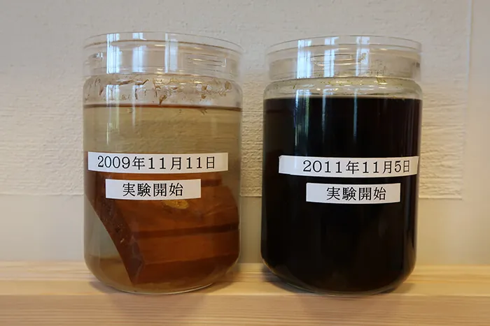 無垢材と合板を水に浸けた経年比較実験
