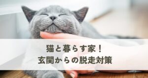 猫と暮らす家！玄関からの脱走対策と快適な室内環境づくり